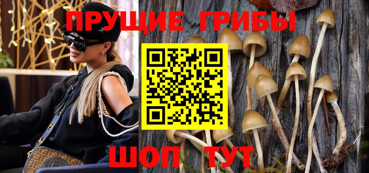 Псилоцибиновые грибы мухоморы Городец