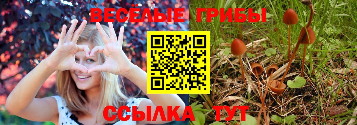 Городец  Псилоцибиновые грибы ЛСД  Галлюциногенные грибы Cubensis  купить закладку  Вход с VPN 